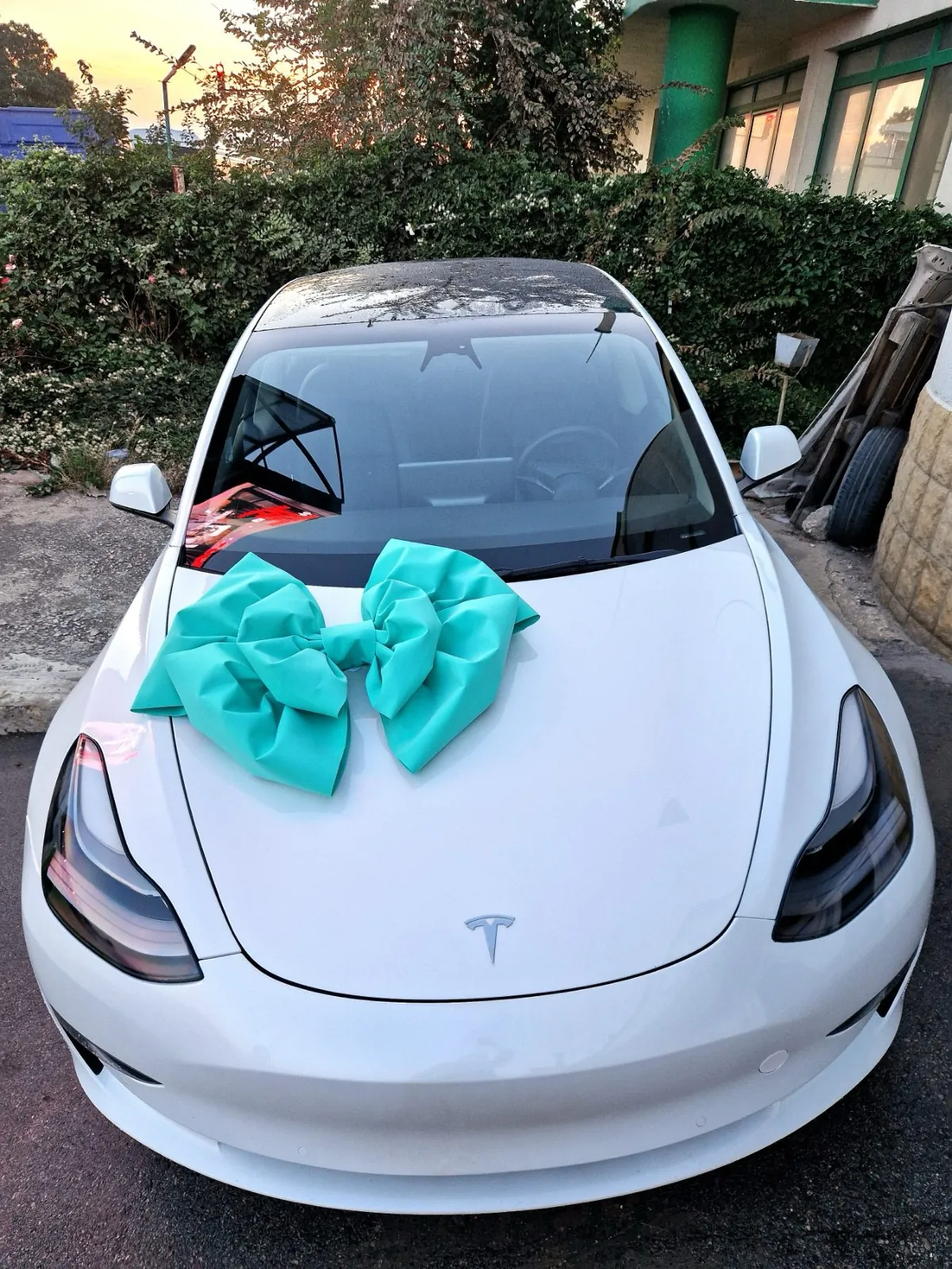 Панделка в цвят мента върху бяла Tesla