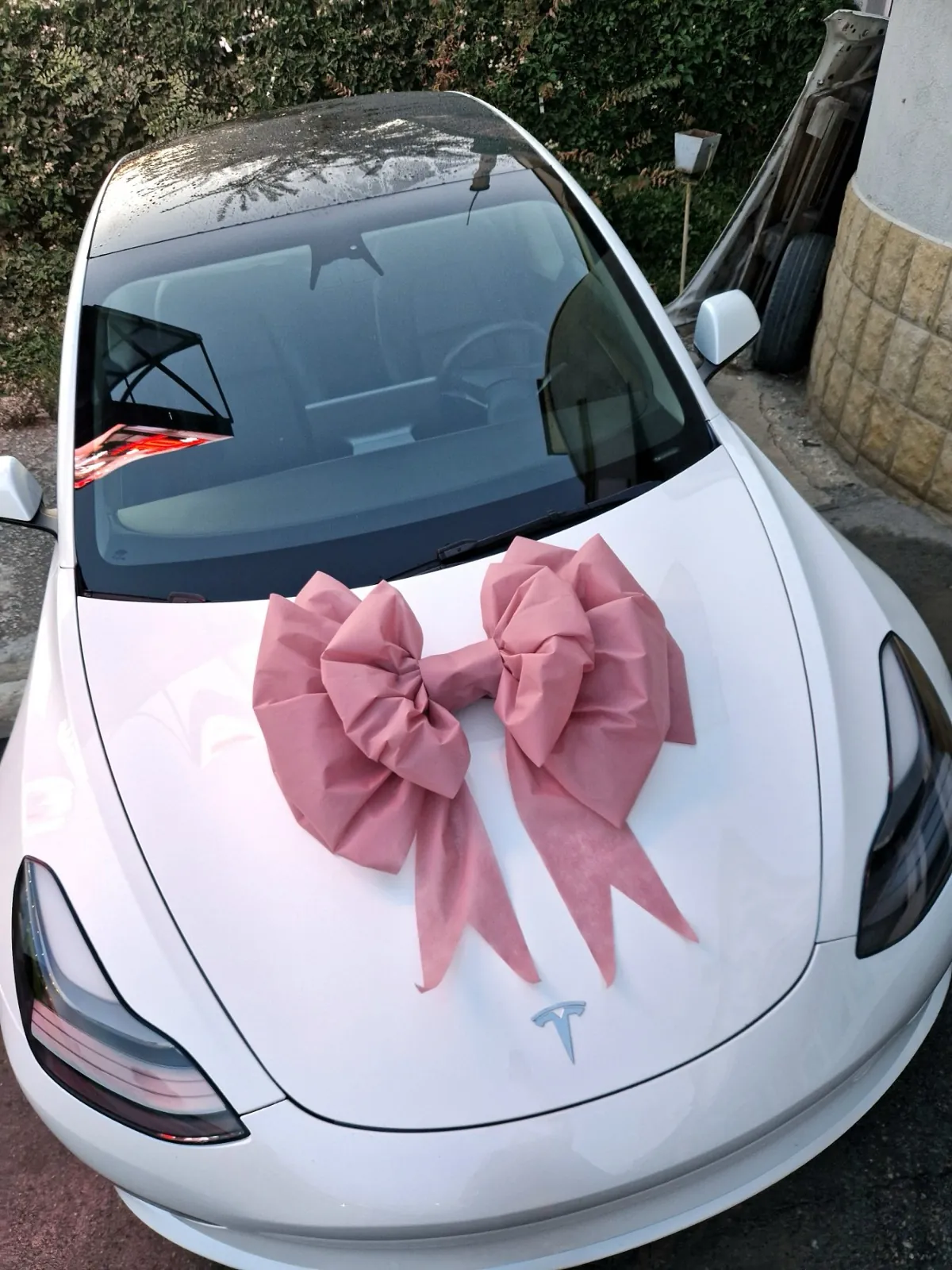 Бяла Tesla с розова панделка